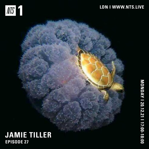 Stream NTS Radio Show - Episode 27 by Jamie Tiller | Listen online for free  on SoundCloud