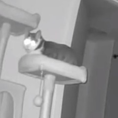 Lil God Dan - Exist Fast Rap Okok (Unreleased)