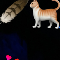 Feathered Cat