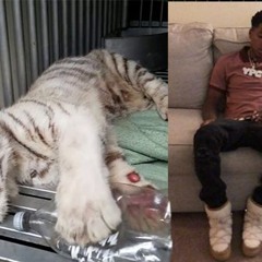 why w awfultop , stop n stare  w noli prod cr1minal , in53ct & chinapoet