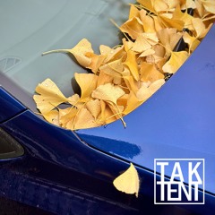 Peter Liversidge - Current Dog Walking Companion... By Stopping You're Breaking My Heart