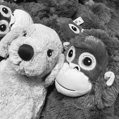 가리워진 길