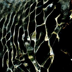 Reflections On The Stone