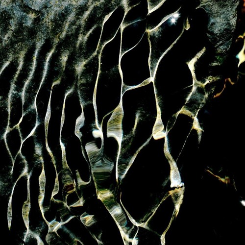 Reflections On The Stone