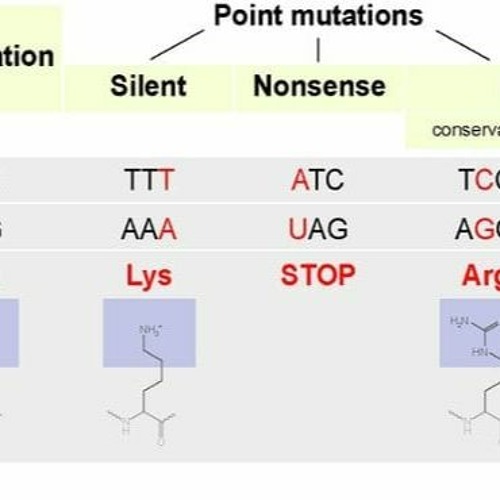 Stream Investigation Dna Proteins And Mutations Worksheet Answer Key by Stream Investigation Dna Proteins And Mutations Worksheet Answer Key by