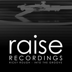Ricky Rough - Into the Groove
