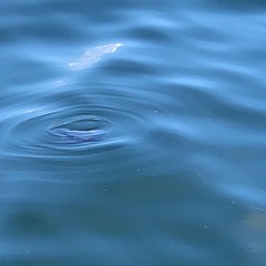 湖