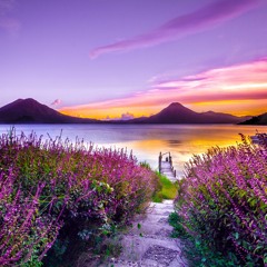 journey to wonderland