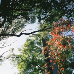 BREATHE - Ruby May, Namesake, Yacku