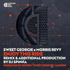 Enjoy This Ride (DJ Spinna Galactic Soul Radio Remix)