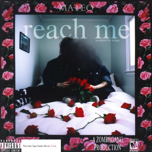reach me (ichigo)