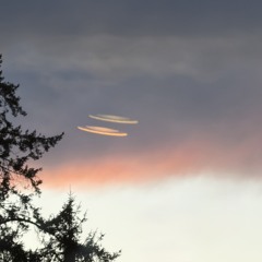 I want it to always be like this