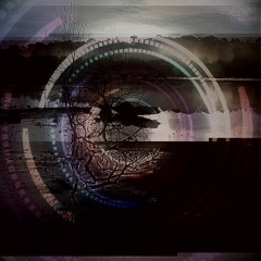 Hidden in the Black Mire