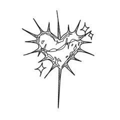 old wounds