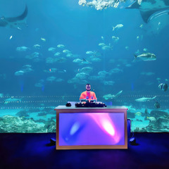 DJ R. Lane_Dragon Con Aquarium Night_Tech House_8-31-2024