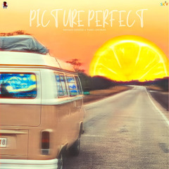 Picture Perfect- Navaan Sandhu