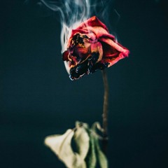 Like you prod. By (TREWIN)