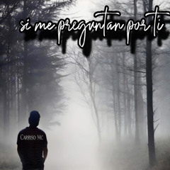 Si Me Preguntan por Ti