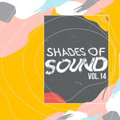 Joe Morris l Shades Of Sound Vol. 14