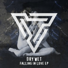 Dry Wet - Falling In Love EP (Previews)