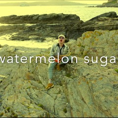 Watermelon sugar Harry Styles (sax cover by Daniel Costin)