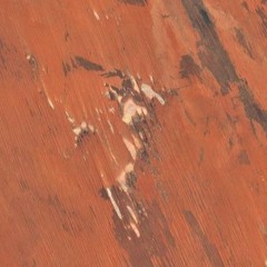 Tegla,Deda,Shadow-Bolest