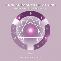 Type 6 Meditation (The Loyal Skeptic)-SAMPLE