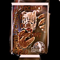_TheButcher's_ Techno Is Our Destiny Mix 2.0 (1.20h Of The Hardest HardTechno Tracks)