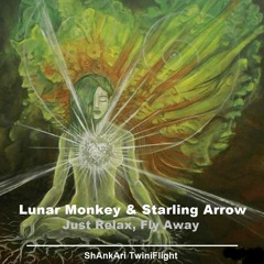 FREE DOWNLOAD: Lunar Monkey & Starling Arrow - Just Relax, Fly Away (ShAnkAri TwiniFlight)