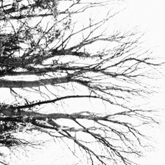 Bubble'ead : live at Bar Loco Newcastle. 2018