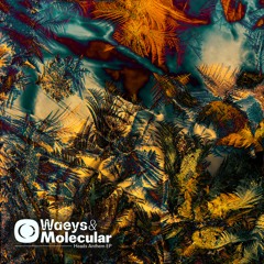 Waeys x Molecular - Heads Anthem
