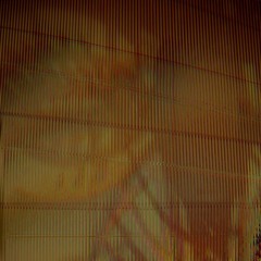 вα¢к яσσм ¢нιℓ∂вιятн