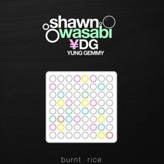 Shawn Wasabi + YDG - Burnt Rice (feat. YUNG GEMMY)