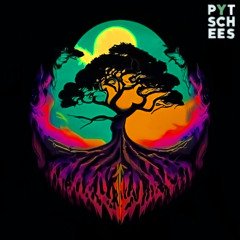 Pytschees - Morish