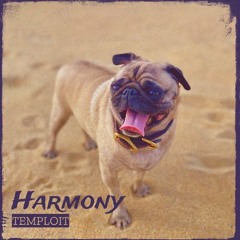 Temploit-Harmony (Club Mix ext) remastered!