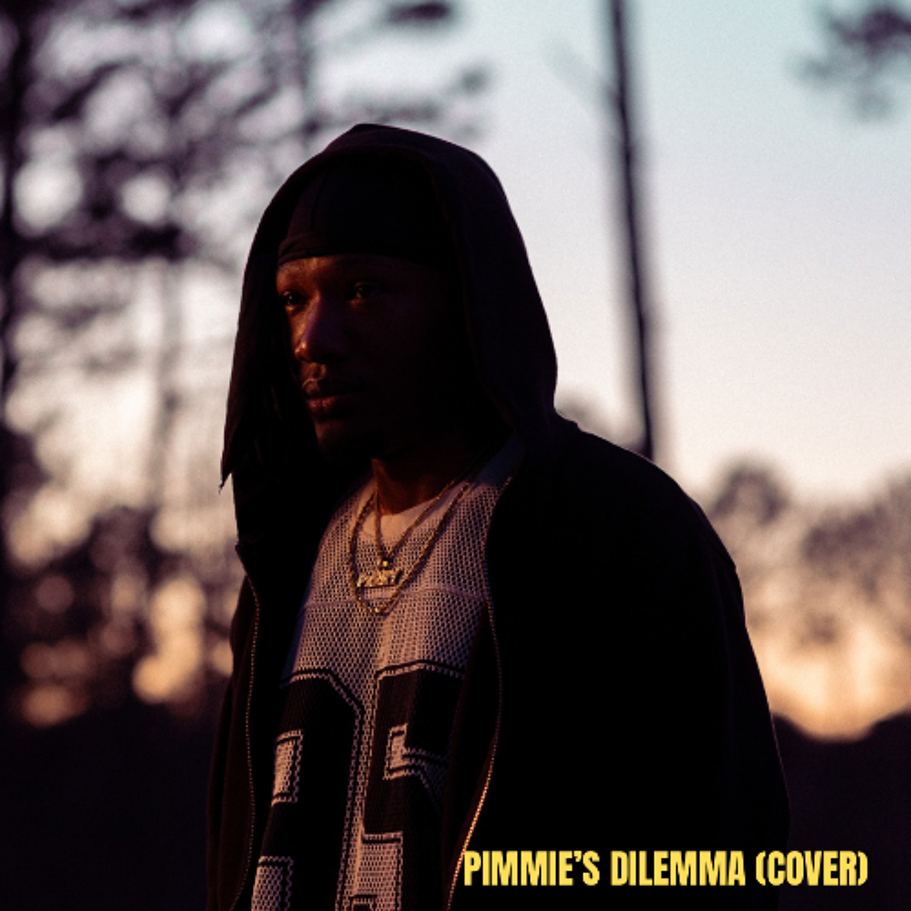 PIMMIE'S DILEMMA (COVER) episode artwork
