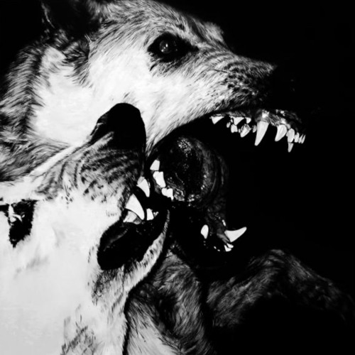 Sunflower - (SOB edit)