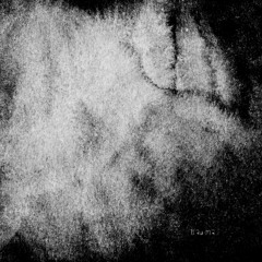 Franncø - Disoriented (Original Mix) |TRM344|