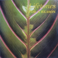 Lifetones - Decide