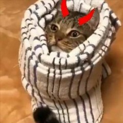 nobody cares