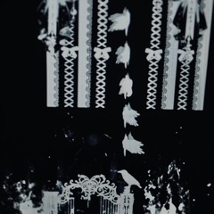 BLACKORCHID]] :Original soundtrack…archive)