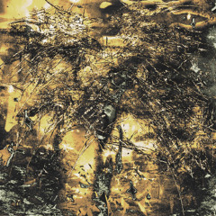 NiN - Ground (TSUM Records)