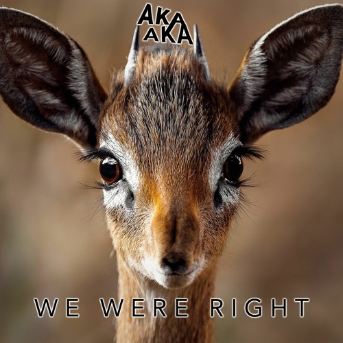 AKA AKA - We Were Right (Extended Mix)