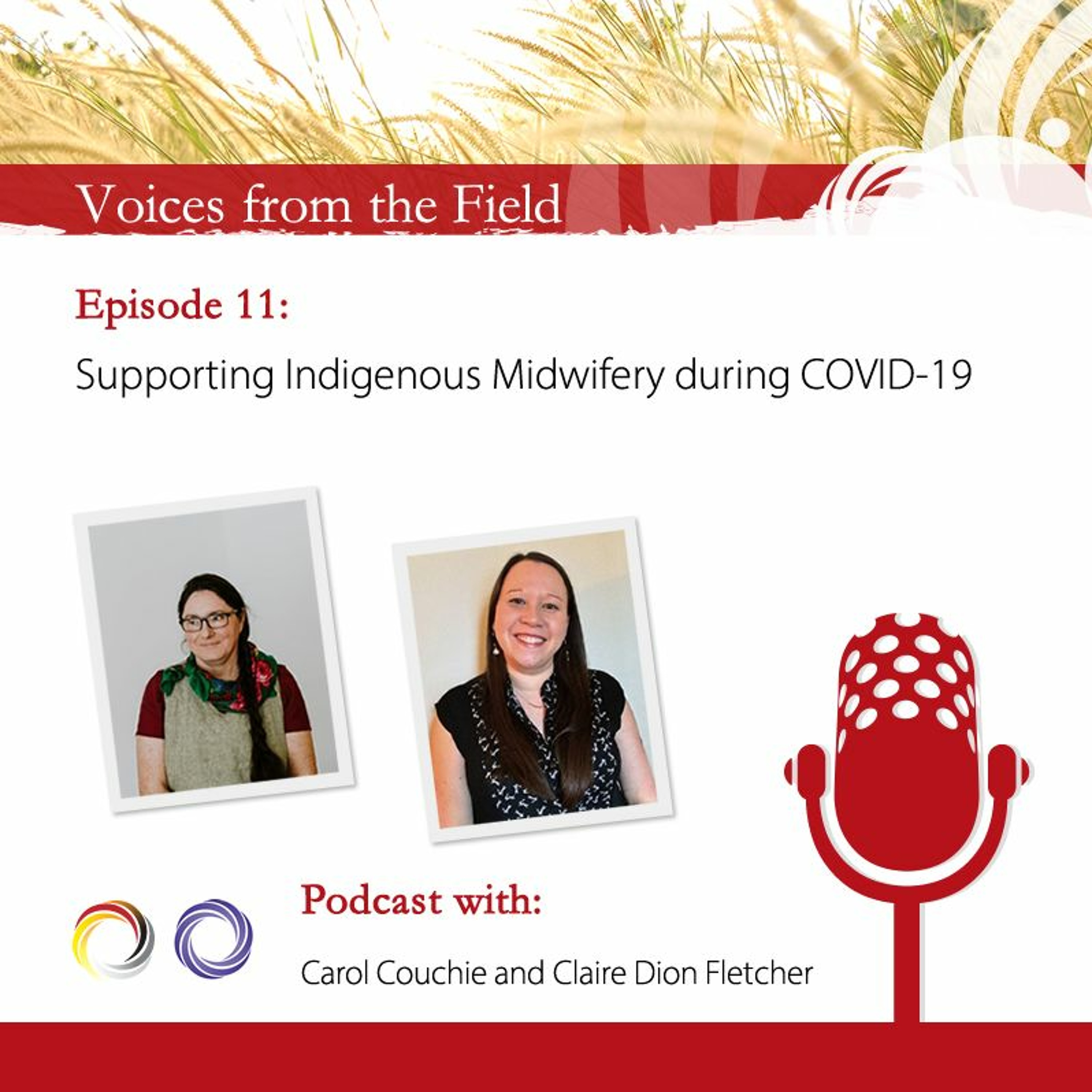 Voices from the Field