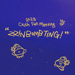 Can't take my eyes off of you + Call you mine + Whatever you do - Crush (in ZZINBOMBTING)