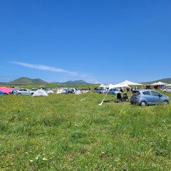 TOLESA SET KOKAPAROT 23/4/23