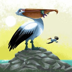 Pelicano
