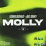 Cedir Gervais & Joel Corry - Molly (EXH! Remix)