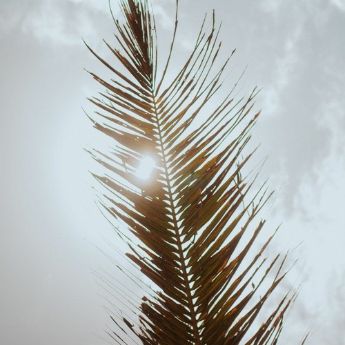 Premiere : BRYZ - Sinteza (Bandcamp exclusive)