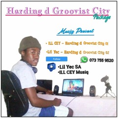 Harding d Groovist City Package